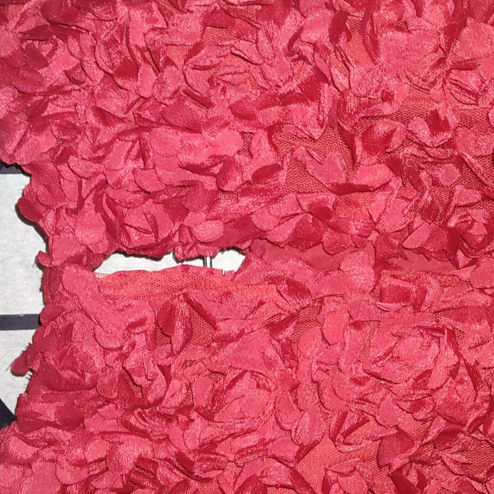 J.Crew Factory Red Flower Petal Textured Dress - Picture 4 of 4